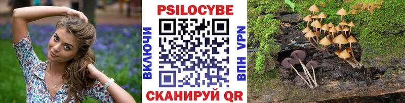Псилоцибиновые грибы Cubensis  Приозерск 